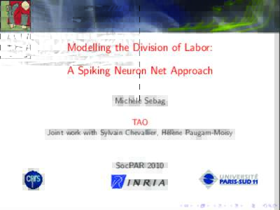 Modelling the Division of Labor: A Spiking Neuron Net Approach Mich`ele Sebag TAO Joint work with Sylvain Chevallier, H´el`ene Paugam-Moisy