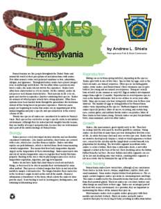 by Andrew L. Shiels Pennsylvania Fish & Boat Commision Pennsylvanians are like people throughout the United States and around the world in their perceptions of and interactions with snakes. Few other animals evoke such p