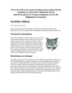 Trees for Life is an award winning conservation charity working to restore the Caledonian Forest and all its species to a large contiguous area in the Highlands of Scotland.  Scottish wildcat