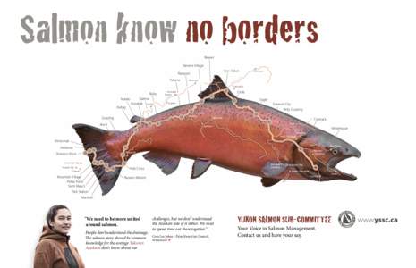 Salmon know no borders Beaver Stevens Village Fort Yukon