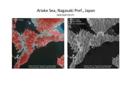 Ariake	
  Sea,	
  Nagasaki	
  Pref.,	
  Japan	
  	
 (N32 50/E130 07) 	
 ASTER image PALSAR image Path/Row:425/65