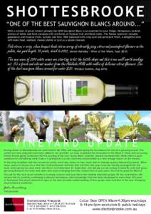 S H O T T E S B RO O K E  “ONE OF THE BEST SAUVIGNON BLANCS AROUND...” With a number of great reviews already the 2010 Sauvignon Blanc is an essential for your fridge. Herbaceous varietal aromas of nettle and faint s