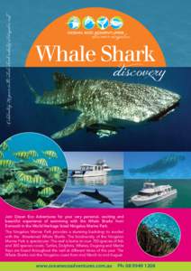 Australian National Heritage List / Ningaloo Reef / Whale shark / Whale watching / Shark / Manta ray / Fish / Gascoyne / Coastline of Western Australia