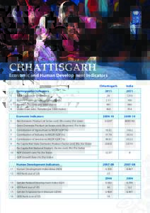 CHHATTISGARH  Economic and Human Development Indicators Chhattisgarh  India