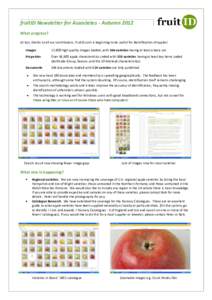 fruitID Newsletter for Associates - Autumn 2012 What progress? At last, thanks to all our contributors, fruitID.com is beginning to be useful for identification of apples! Images  17,800 high quality images loaded, with 