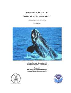 Recovery Plan for the North Atlantic Right Whale: 2004 Revision