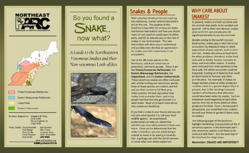 Squamata / Agkistrodon / Venomous snakes / Agkistrodon contortrix mokasen / Rattlesnake / Agkistrodon piscivorus / Massasauga / Northern water snake / Copperhead / Crotalus horridus