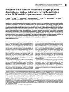 Induction of ER stress in response to oxygen-glucose deprivation of cortical cultures involves the activation of the PERK and IRE-1 pathways and of caspase-12