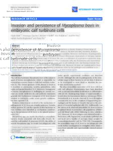 Invasion and persistence of Mycoplasma bovis in embryonic calf turbinate cells