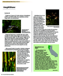 Measures of Biodiversity: Richness, Rarity, and Endemism  Amphibians By Kathy Hill  California is home to 51 native species of amphibians