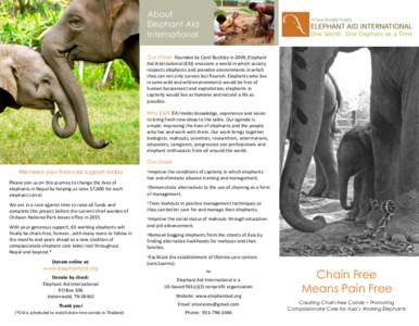 !  About Elephant Aid International