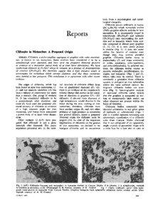 Reports  Cliftonite in Meteorites: A Proposed Origin