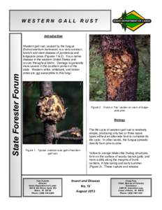 WESTERN GALL RUST  State Forester Forum Introduction Western gall rust, caused by the fungus