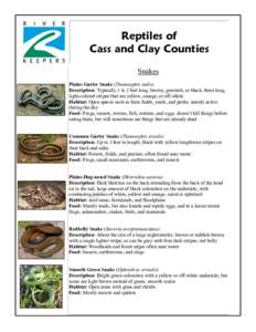 Reptiles of Cass and Clay Counties Snakes Plains Garter Snake (Thamnophis radix) Description: Typically 1 to 2 feet long; brown, greenish, or black; three long, light-colored stripes that are yellow, orange, or off-white