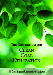 The Consortium for  Clean Coal Utilization