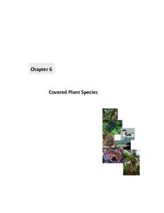 Chapter 6  Covered Plant Species Contents 6 COVERED PLANT SPECIES