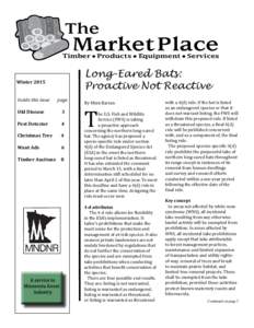 The  Market Place Timber ● Products