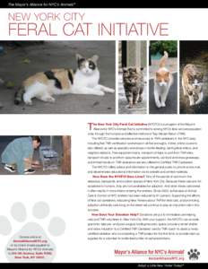 The Mayor’s Alliance for NYC’s Animals®  NEW YORK CITY FERAL CAT INITIATIVE