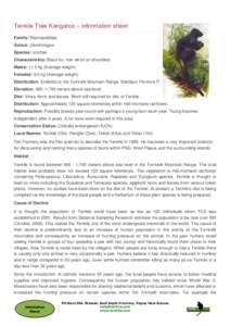 Tenkile Tree Kangaroo – information sheet Family: Macropodidae Genus: Dendrolagus Species: scottae Characteristics: Black fur, hair whorl on shoulders. Males: 11.5 kg (Average weight)