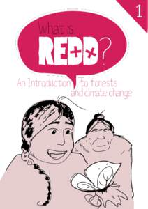 What is  REDD? An Introduction to forests and climate change