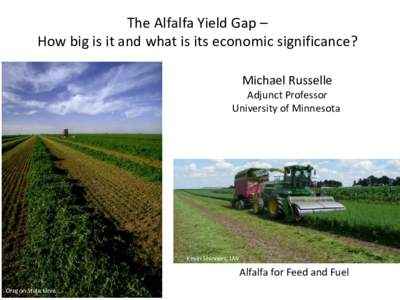 The	Alfalfa	Yield	Gap	– How	big	is	it	and	what	is	its	economic	significance? Michael	Russelle Adjunct	Professor University	of	Minnesota