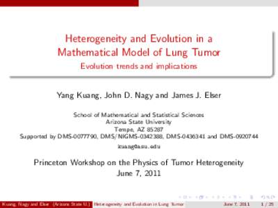 Heterogeneity and Evolution in a   Mathematical Model of Lung Tumor - Evolution trends and implications
