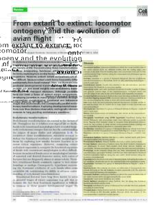 From extant to extinct: locomotor ontogeny and the evolution of avian flight