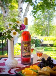Gilmanton Winery & Vineyard, located on property that once belonged to Grace Metalious, offers tastings Thursday through Sunday, a brunch on Sunday and storyteller dinners on Fridays. 66 New hampshire magazine August 201