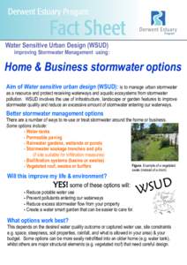 Water Sensitive Urban Design (WSUD)  improving Stormwater Management using: Home & Business stormwater options Aim of Water sensitive urban design (WSUD): is to manage urban stormwater