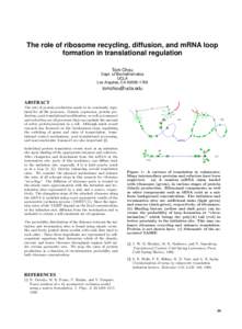 The role of ribosome recycling, diffusion, and mRNA loop formation in translational regulation Tom Chou Dept. of Biomathematics UCLA Los Angeles, CA