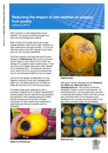 Microsoft Word - Tech note_reducing papaya diseases_final.doc