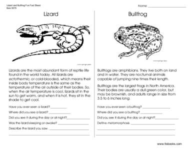 Lizard and Bullfrog Fun Sheets