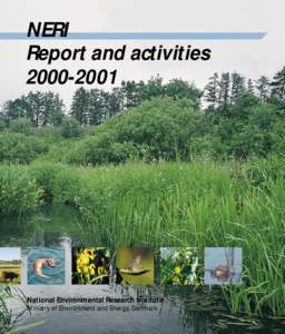 NERI Report and activitiesNational Environmental Research Institute Ministry of Environment and Energy, Denmark