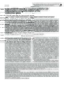 Loss of CD147 results in impaired epithelial cell differentiation and malformation of the meibomian gland