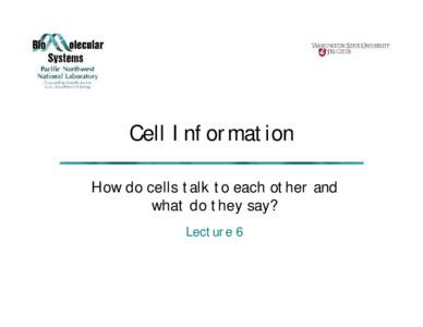 Cell Information How do cells talk to each other and what do they say? Lecture 6  Information processing by cells