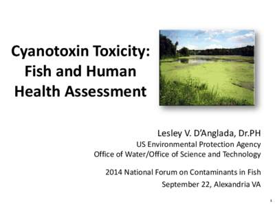 Cyanotoxin Toxicity: Fish and Human Health Assessment Lesley V. D’Anglada, Dr.PH  US Environmental Protection Agency