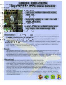 Attention - Oahu Arborists Help Protect the Official Bird of Honolulu! •	 Look, listen and locate trees with nesting White Terns. •	 Do Not trim branches or remove trees with nesting White Terns.