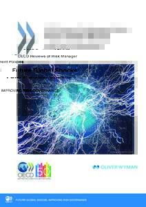 OECD Reviews of Risk Management Policies  Future Global Shocks IMPROVING RISK GOVERNANCE  © iStockphoto/Stephan Zabel