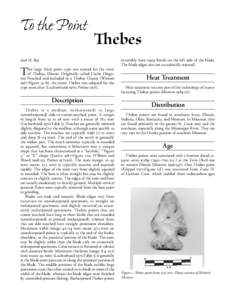 Lithics / Ancient Thebes / Thebes / Projectile point / Archaeology / Geography of Illinois / Technology