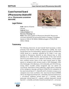 Desert horned lizard / Coast horned lizard / Lizard / Texas horned lizard / Mexican Horned Lizard / Herpetology / Fauna of the United States / Horned lizard