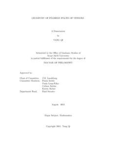 GEOMETRY OF FEASIBLE SPACES OF TENSORS  A Dissertation by YANG QI