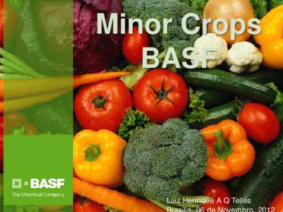 Minor Crops BASF Luiz Henrique A Q Telles 1