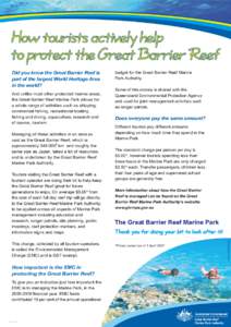 Did you know the Great Barrier Reef is part of the largest World Heritage Area in the world? And unlike most other protected marine areas, the Great Barrier Reef Marine Park allows for a whole range of activities such as