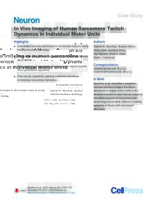 Case Study  In Vivo Imaging of Human Sarcomere Twitch Dynamics in Individual Motor Units Highlights d