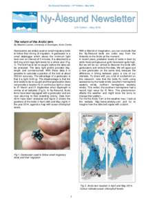 Ny-Ålesund Newsletter – 37nd Edition – MayNy-Ålesund Newsletter 37th Edition – MayThe return of the Arctic tern.