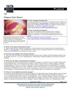 PDF  Plague Fact Sheet