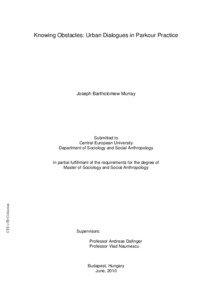 Knowing Obstacles: Urban Dialogues in Parkour Practice  Joseph Bartholomew Murray