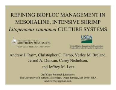 REFINING BIOFLOC MANAGEMENT IN MESOHALINE, INTENSIVE SHRIMP Litopenaeus vannamei CULTURE SYSTEMS