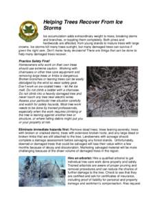 Helping Trees Recover From Ice Storms Ice accumulation adds extraordinary weight to trees, breaking stems and branches, or toppling them completely. Both pines and hardwoods are affected, from young stands to mature tree