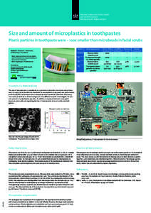 Size and amount of microplastics in toothpastes Plastic particles in toothpaste were ~ 100x smaller than microbeads in facial scrubs 6 Authors: A. Verschoora, J. Herremansa, W. Peijnenburga, Ruud Petersb